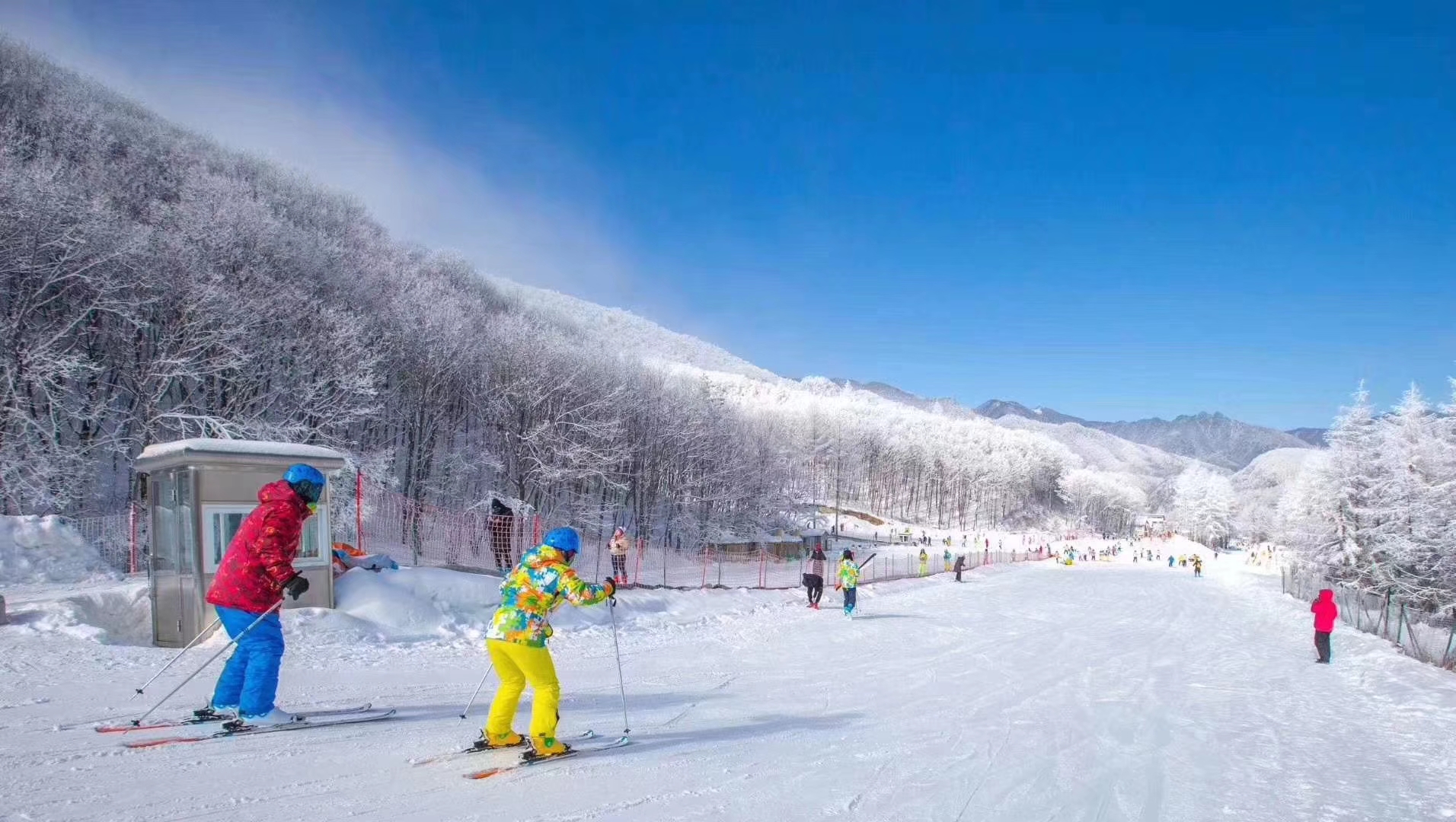 【特价湖北】广州往返湖北神农架、国际滑雪场、三峡游船双飞4天