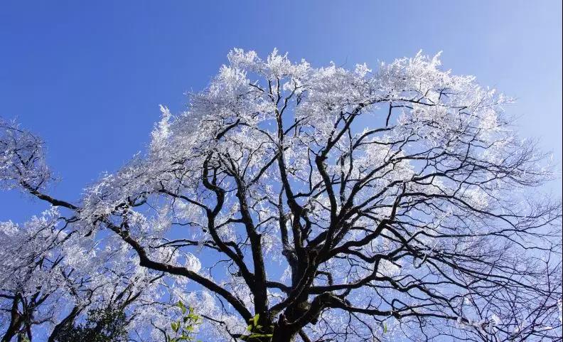 【遇见猫儿山】华南之巅-猫儿山赏雾凇、漓江源大峡谷、尧山、王城·东西巷纯玩动车三天游