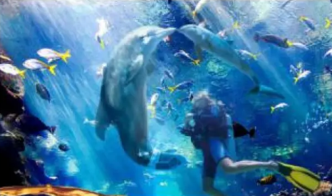 【亲子游】广州直飞美娜多，6天/5天跟团游，赠送追海豚，半潜艇体验